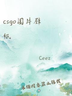 csgo图片壁纸