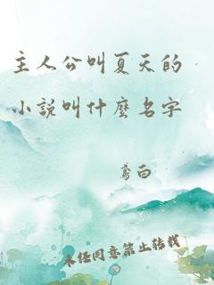 主人公叫夏天的小说叫什么名字