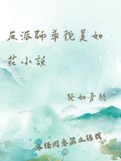 反派师尊貌美如花小说