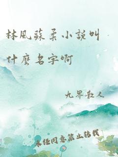 林风苏柔小说叫什么名字啊