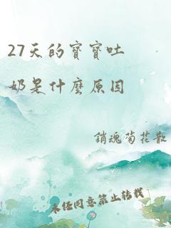 27天的宝宝吐奶是什么原因