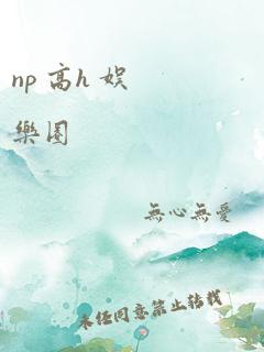 np 高h 娱乐圈