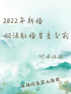 2022年新婚姻法离婚房产分割