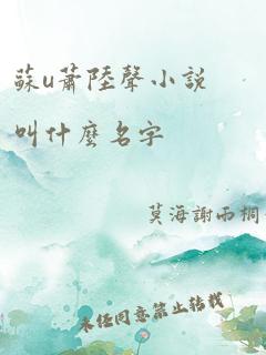 苏u萧陆声小说叫什么名字