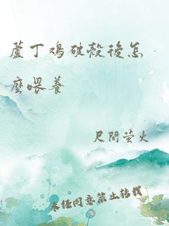 芦丁鸡破壳后怎么喂养