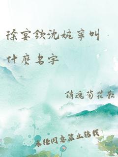 徐宴钦沈婉宁叫什么名字