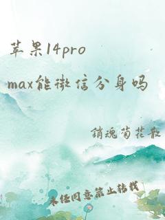 苹果14promax能微信分身吗