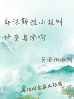 许沫靳淮小说叫什么名字啊