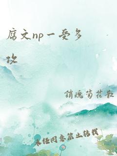 腐文np一受多攻