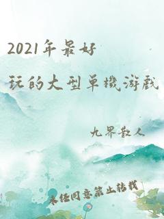 2021年最好玩的大型单机游戏