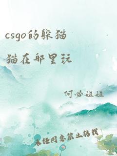 csgo的躲猫猫在哪里玩