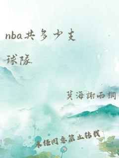 nba共多少支球队