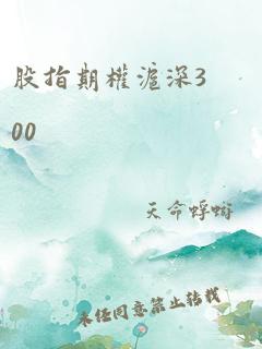 股指期权沪深300