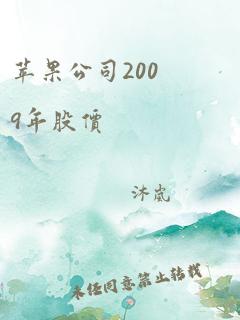 苹果公司2009年股价