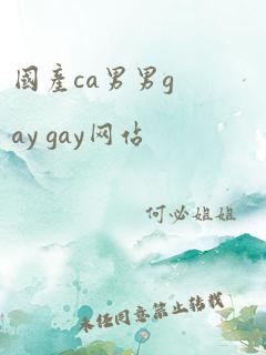 国产ca男男gay gay网站