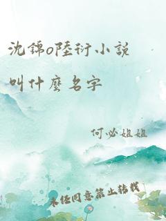 沈锦o陆衍小说叫什么名字