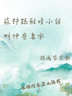 苏柠孙雅晴小说叫什么名字