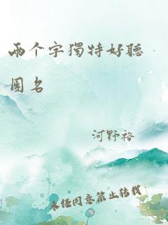 两个字独特好听团名