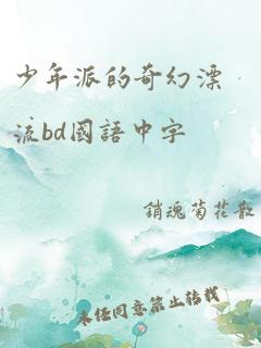 少年派的奇幻漂流bd国语中字