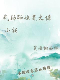 我的师姐是大佬 小说