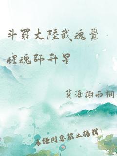 斗罗大陆武魂觉醒魂师升星