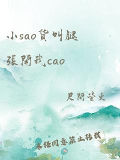 小sao货叫腿张开我cao