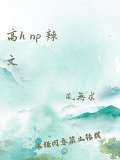 高h np 辣文