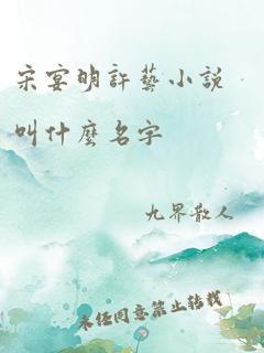 宋宴明许艺小说叫什么名字