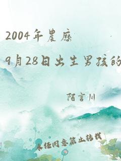 2004年农历9月28日出生男孩的命运