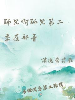 师兄啊师兄第二季在哪看