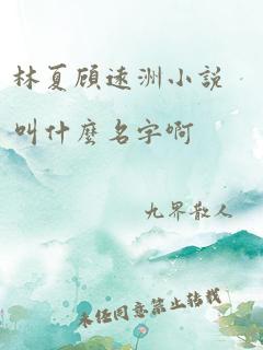 林夏顾远洲小说叫什么名字啊