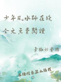 少年风水师在线全文免费阅读