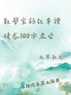 数学家的故事读后感300字左右