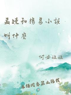 孟晓和杨易小说叫什么