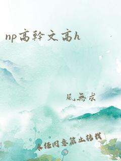 np高干文高h