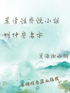 叶清淮齐悦小说叫什么名字