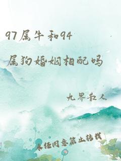 97属牛和94属狗婚姻相配吗