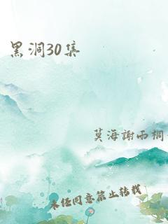 黑洞30集