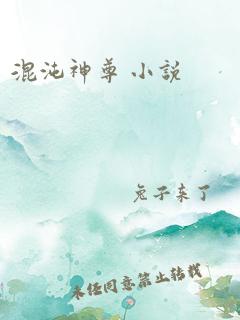 混沌神尊 小说