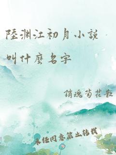 陆渊江初月小说叫什么名字