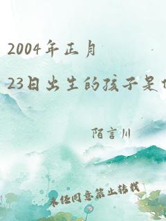 2004年正月23日出生的孩子是什么命