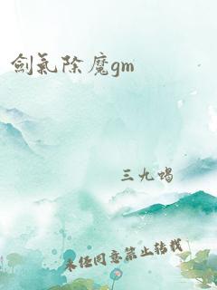 剑气除魔gm