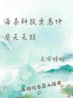 海泰科股票为什么天天跌