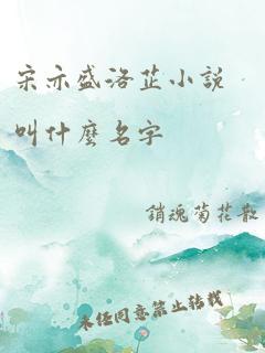 宋亦盛洛芷小说叫什么名字