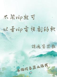 不用vip就可以看vip电视剧的软件