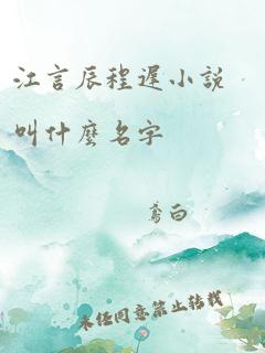 江言辰程迟小说叫什么名字