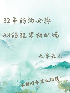 82年的狗女与88的龙男相配吗