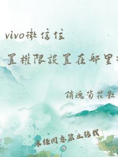 vivo微信位置权限设置在哪里打开