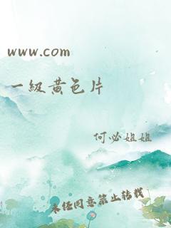 www.com一级黄色片