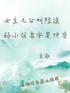 女主人公叫陆瑶的小说名字是什么